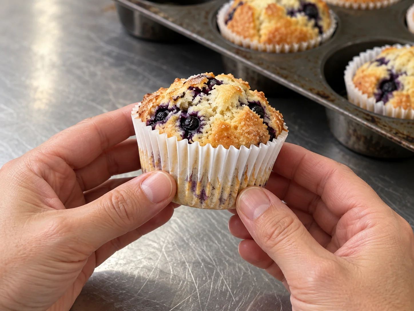 Baker holding a baked blueberry muffin in one white pleated paper liner